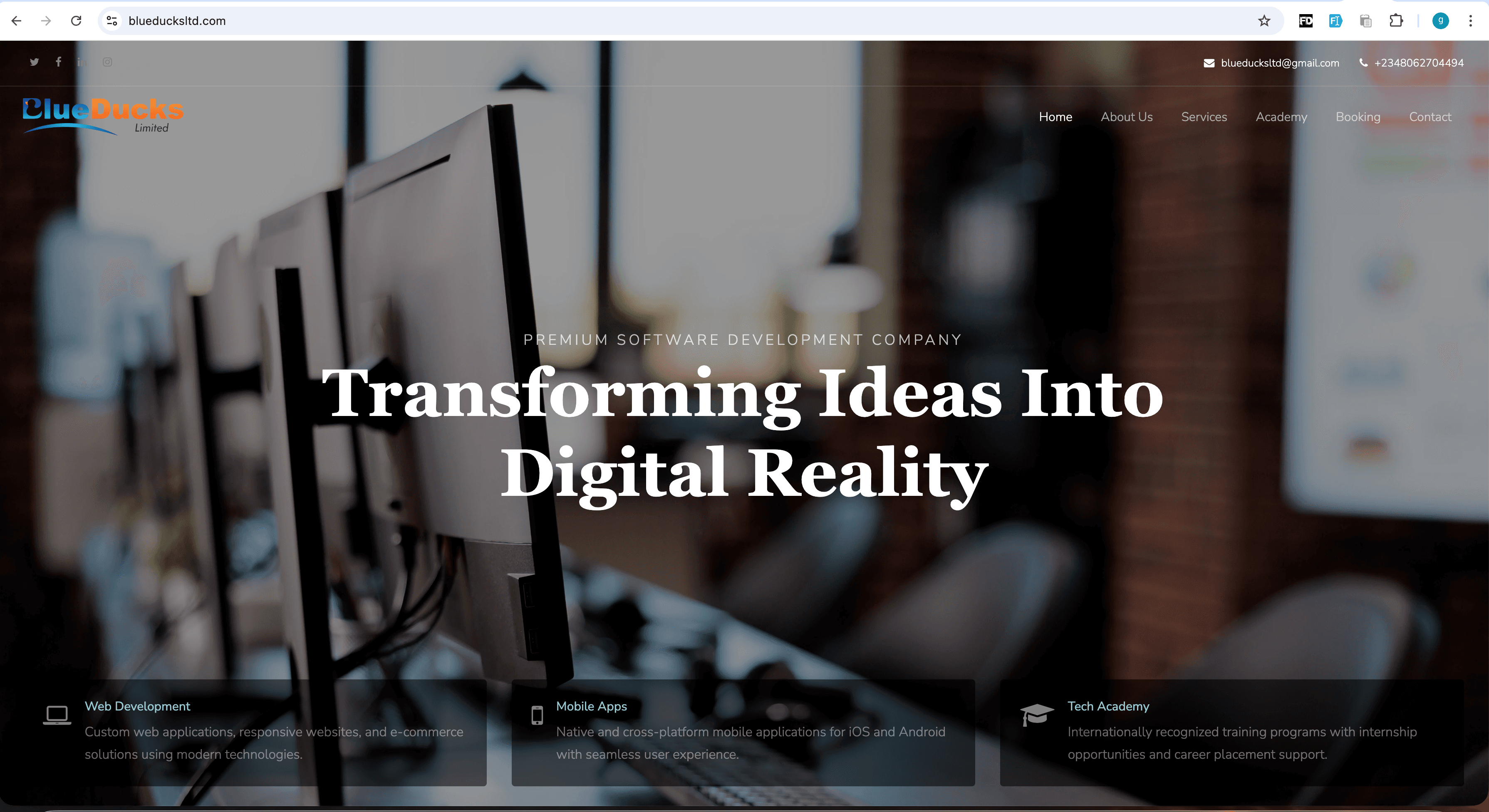 BlueDucks Ltd — Agency Website
